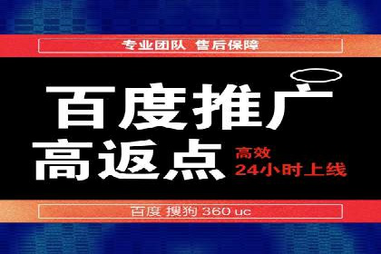 探索专业SEM托管的奥秘：从案例看效果